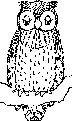die Eule Schuhu